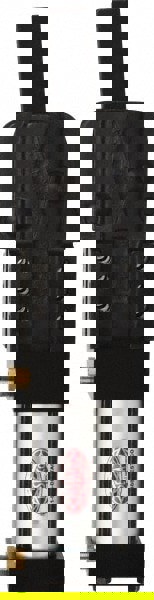 Pneumatic Hold Down Toggle Clamp: